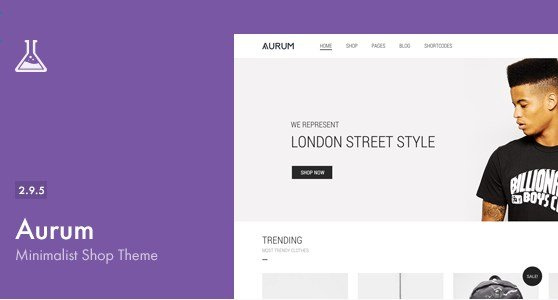 AURUM – MINIMALIST SHOPPING THEME